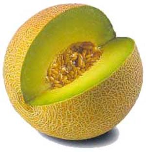 MELON