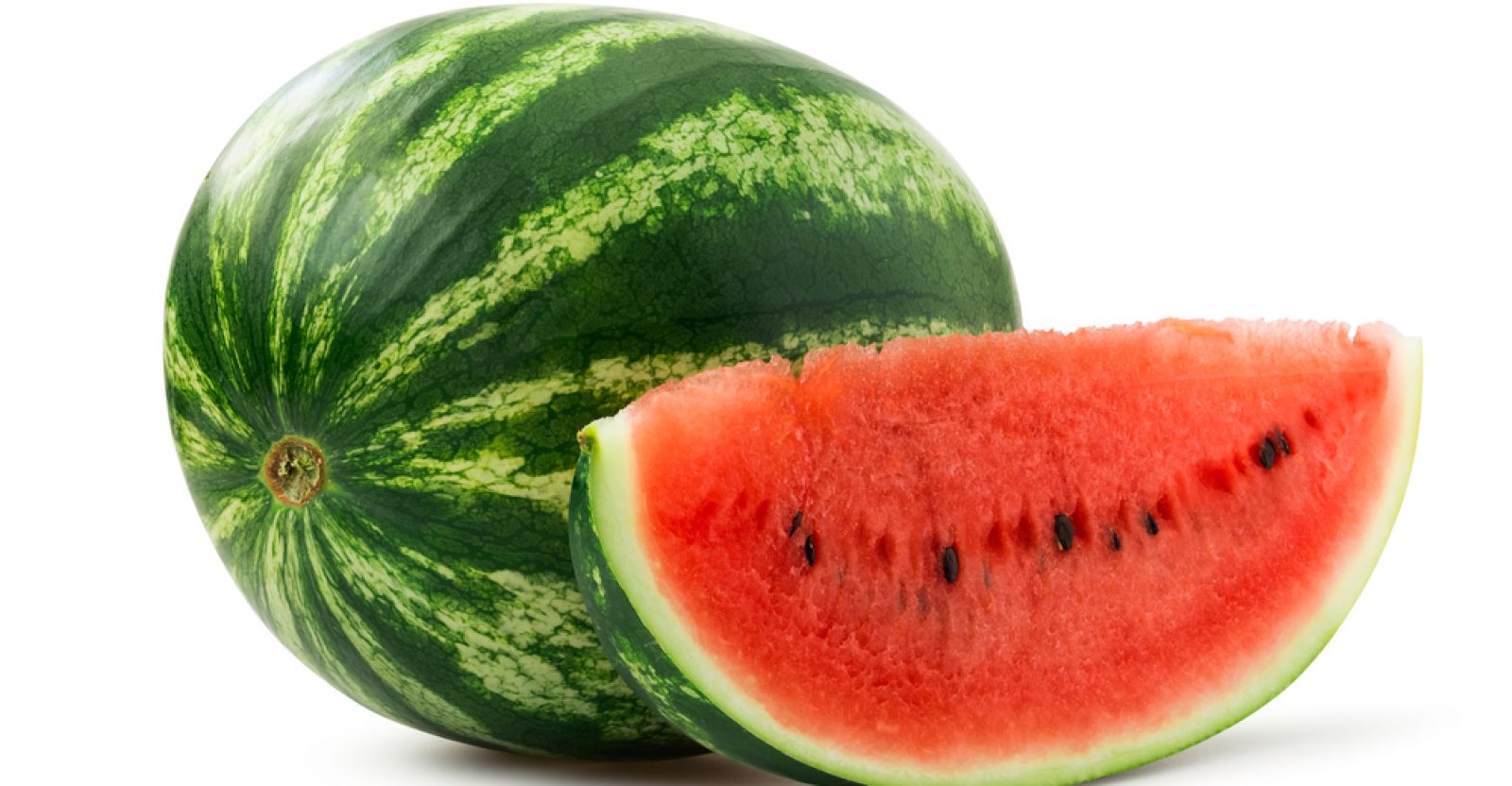 WATER MELON (Citrullus vulgaris)