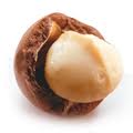 MACADAMIA NUT (Macadamia integrifolia) (raw)