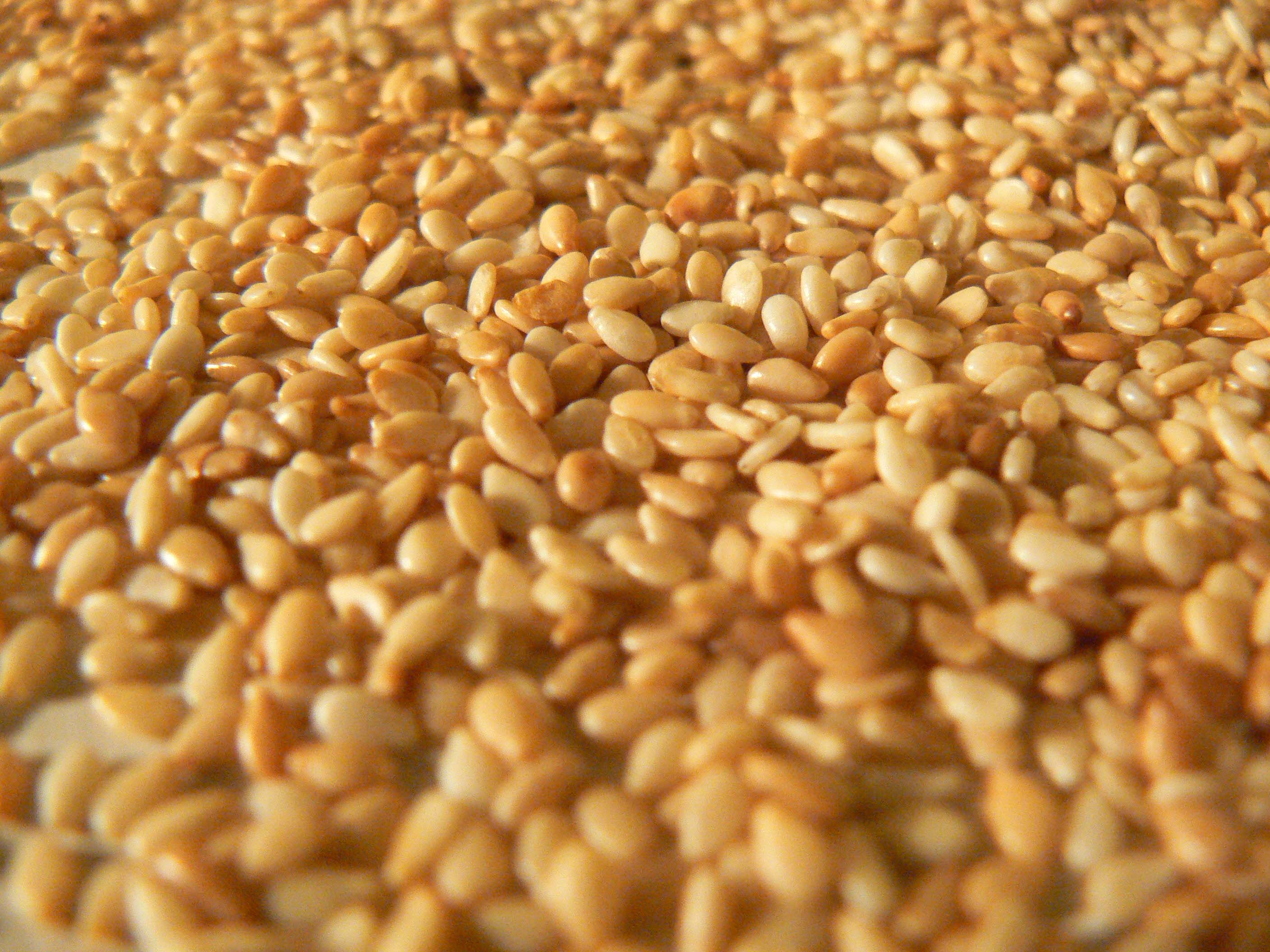 SESAME SEED (roasted)