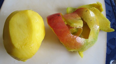 MANGO (peel) (Mangifera indica L.)