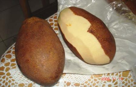 BINJAI (Mangifera caesia Jack)