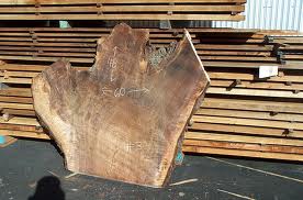 WALNUT ROOT BARK (Juglans regia L.)