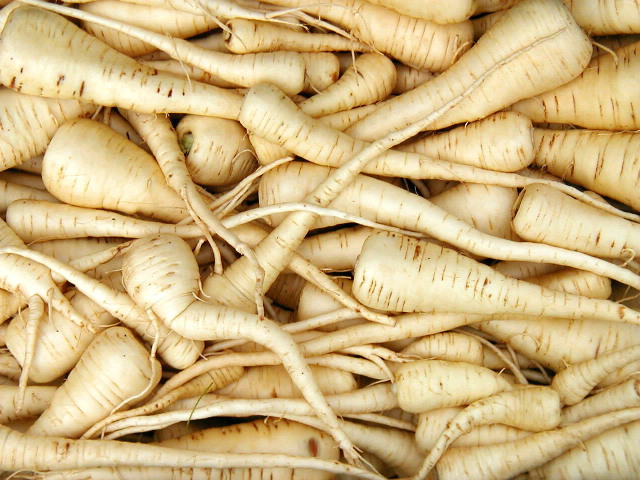 PARSNIP ROOT (cooked)