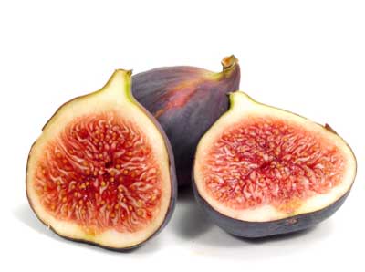 FIG (fresh)