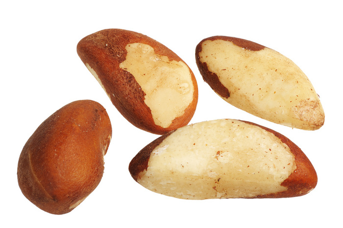 BRAZIL NUT (Bertholletia excelsa)