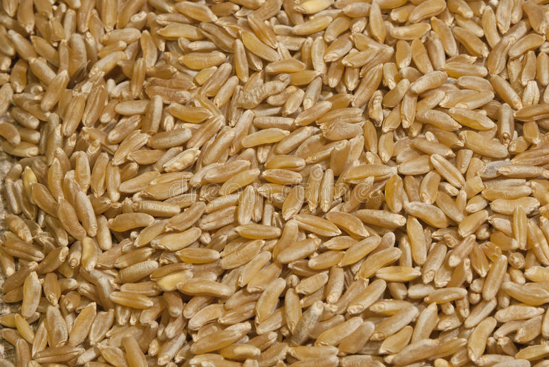 BROWN RICE (long grain, raw)