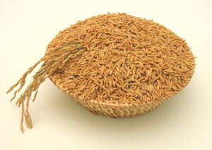 RICE BRAN