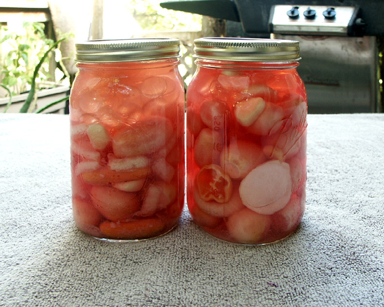 RADISH (fermented)