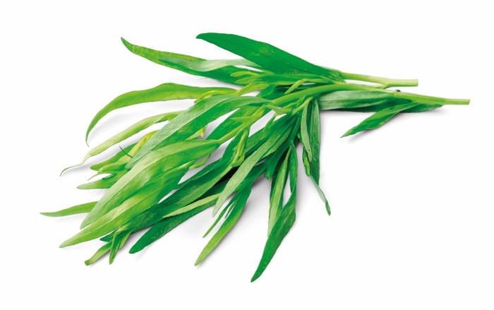 TARRAGON LEAVES