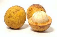 BACURI (Platonia insignis)
