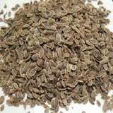 INDIAN DILL SEED (Anethum sowa Roxb.)