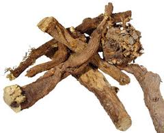 LICORICE (Glycyrrhiza species)