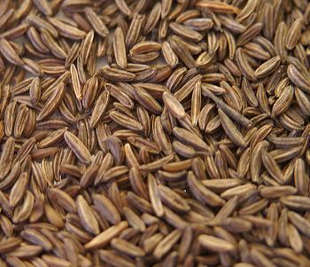 CARAWAY SEED