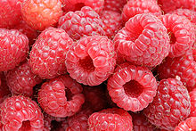 RASPBERRY (Rubus idaeus L.)