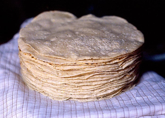 CORN TORTILLAS