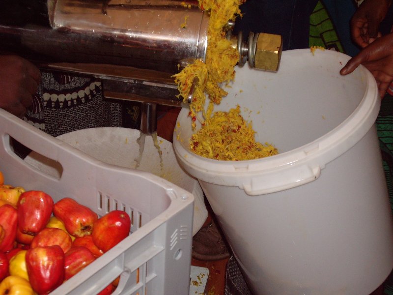 CASHEW APPLE JUICE