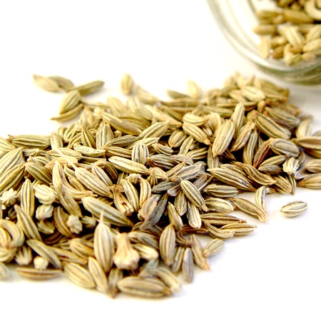 BITTER FENNEL FRUIT/SEED