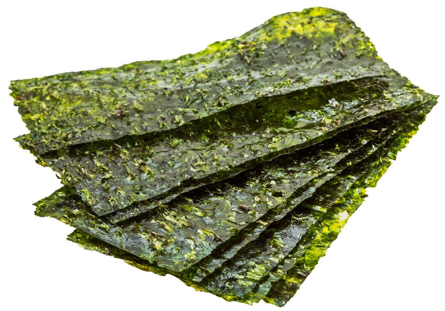 RED ALGEA (Porphyra tenera)