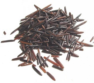 WILD RICE (Zizania aquatica)