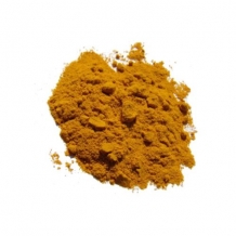 CURCUMA DOMESTICA L.