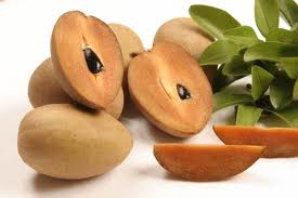 SAPODILLA FRUIT (Achras sapota L.)