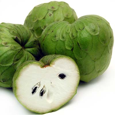 CUSTARD APPLE, ATEMOYA (Annona atemoya)