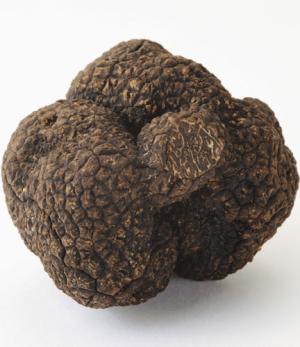 TRUFFLE