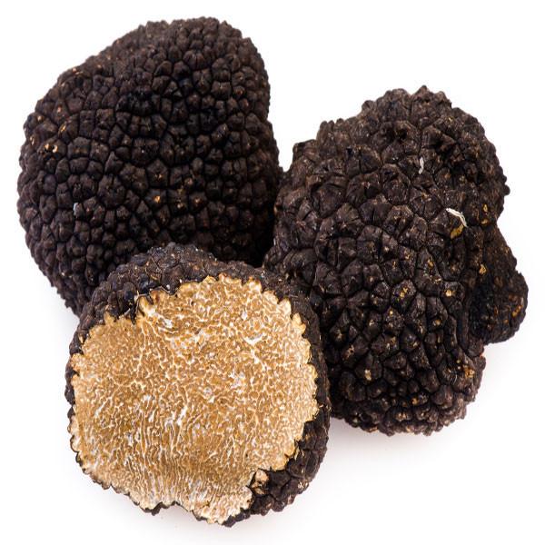 BLACK TRUFFLE (Tuber melanosporum)