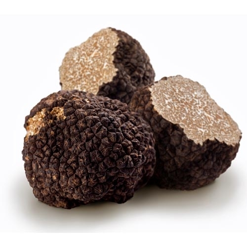 BURGUNDY TRUFFLE (Tuber uncinatum)