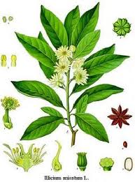 STAR ANISE
