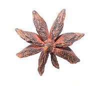 STAR ANISE (Illicium verum)
