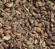 CELERY SEED OIL