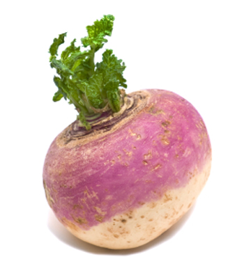 TURNIP