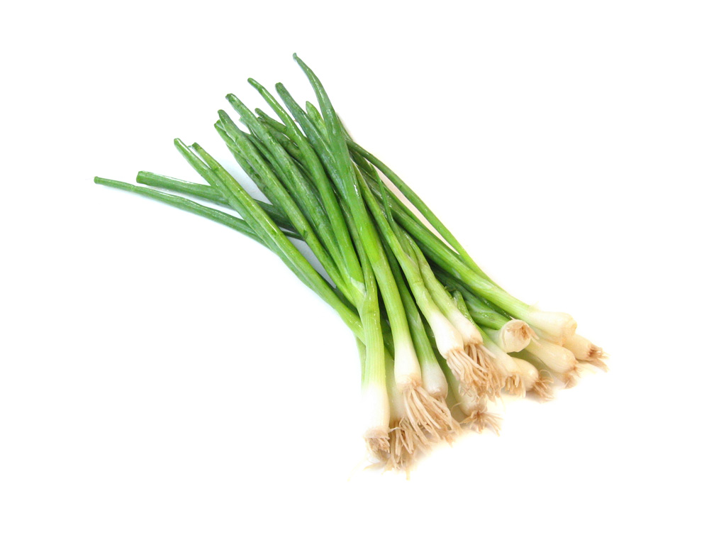 WELSH ONION (Allium fistulosum L. var. maichuon)