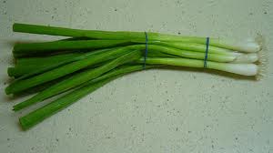 SCALLION (Allium fistulosum L. var. caespitosum)