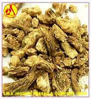 ANGELICA ROOT OIL