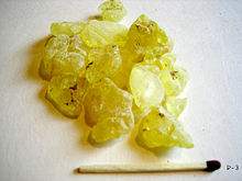 MASTIC (Pistacia lentiscus L.) GUM OIL