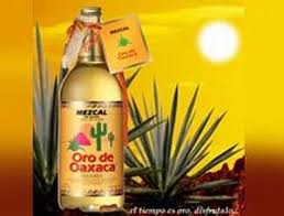 MEZCAL (Agave salmiana)