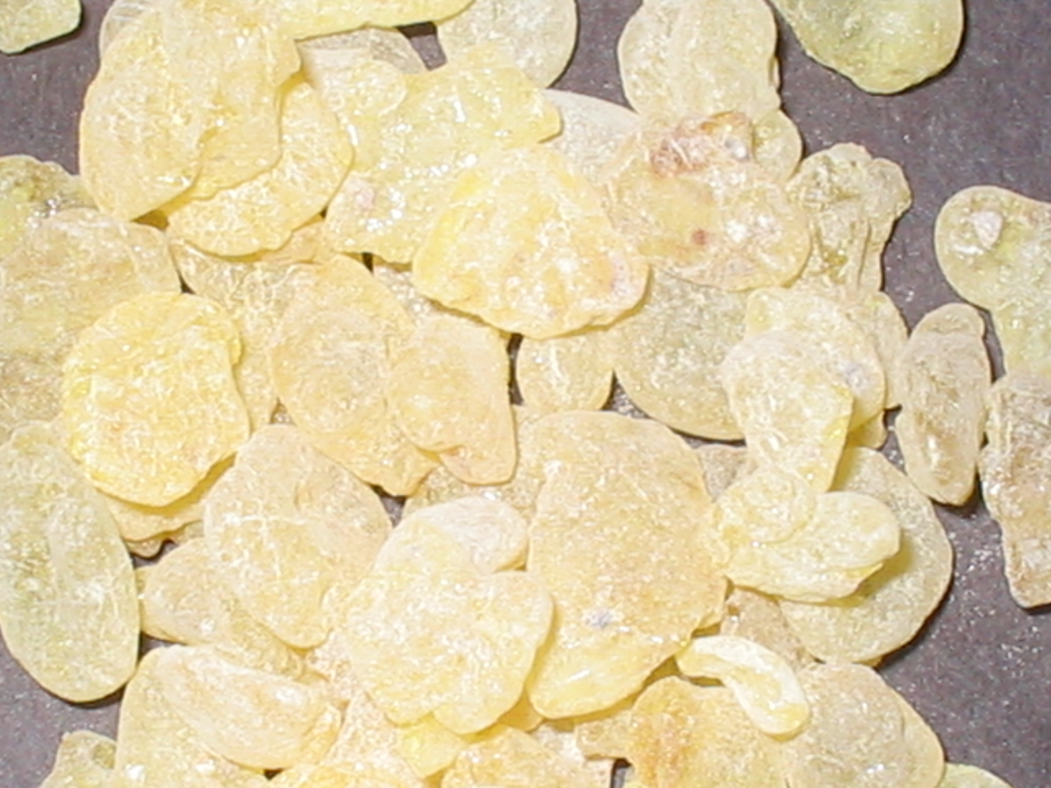 PISTACHIO (Pistacia vera) GUM OIL