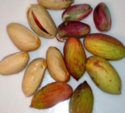 PISTACHIO (Pistacia vera) FRUIT OIL