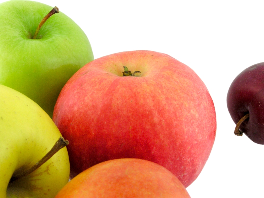 APPLE FRESH (Malus species)