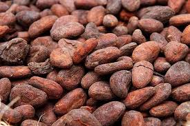FERMENTED COCOA BEANS