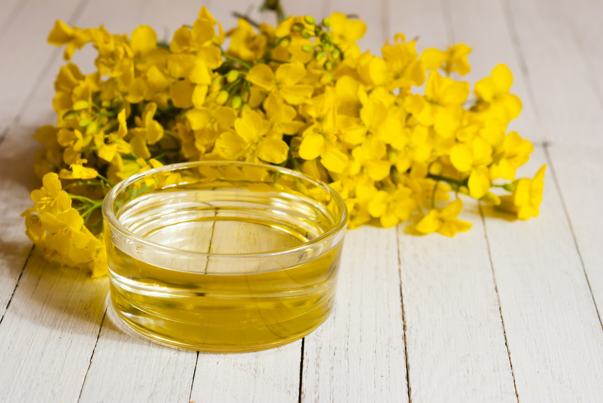 RAPESEED