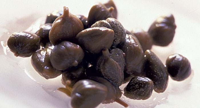 CAPERS (Capparis spinoza)