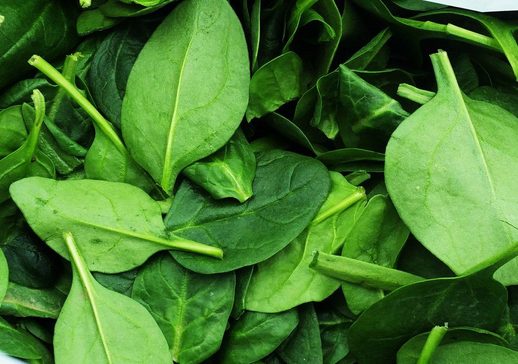 BABY SPINACH (Spinacia oleracea L.) (raw)
