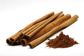 CINNAMOMUM SPECIES
