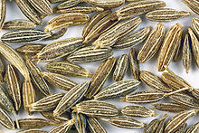 CUMIN SEED (Cuminum cyminum L.)