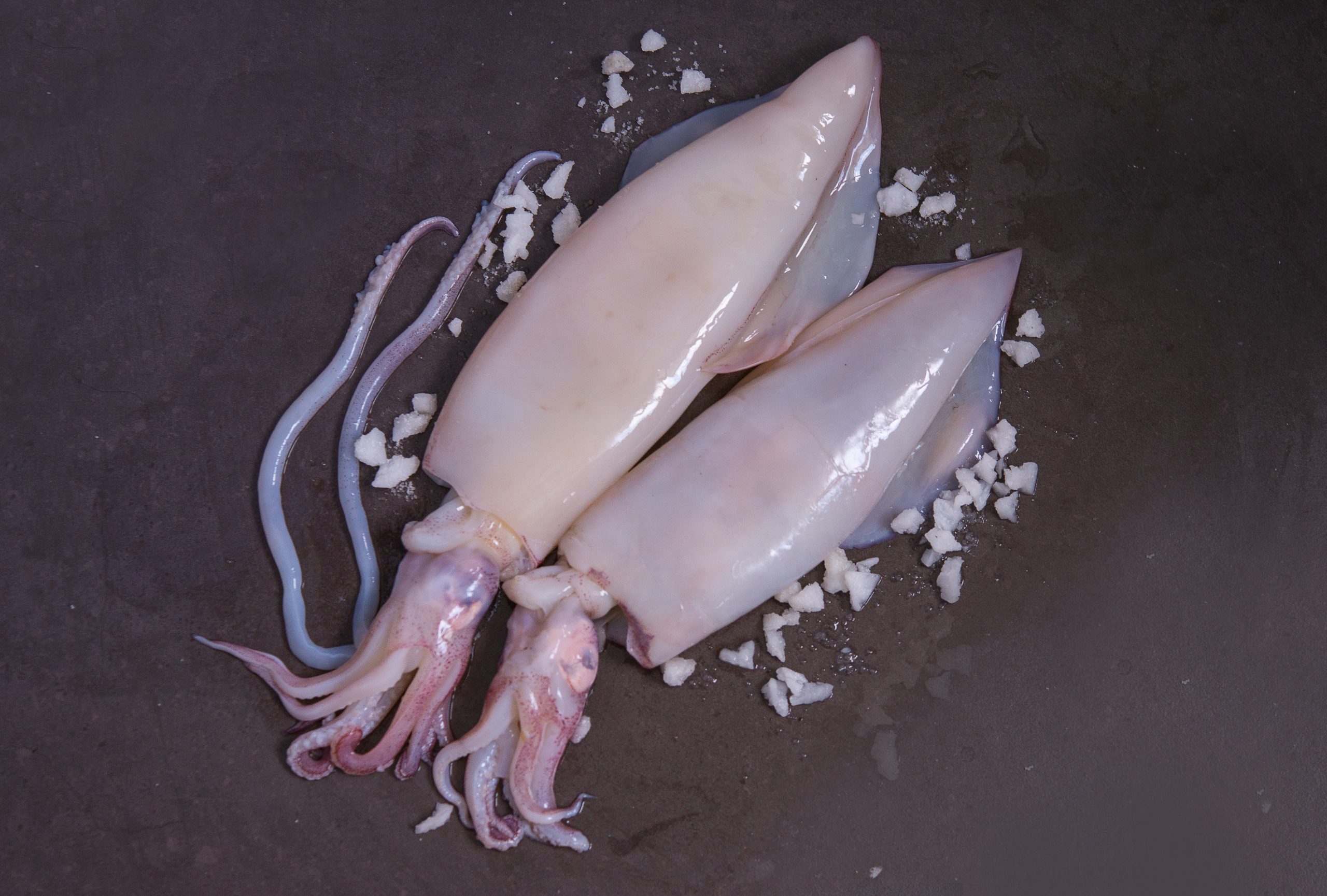 SQUID