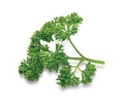 PARSLEY LEAVES